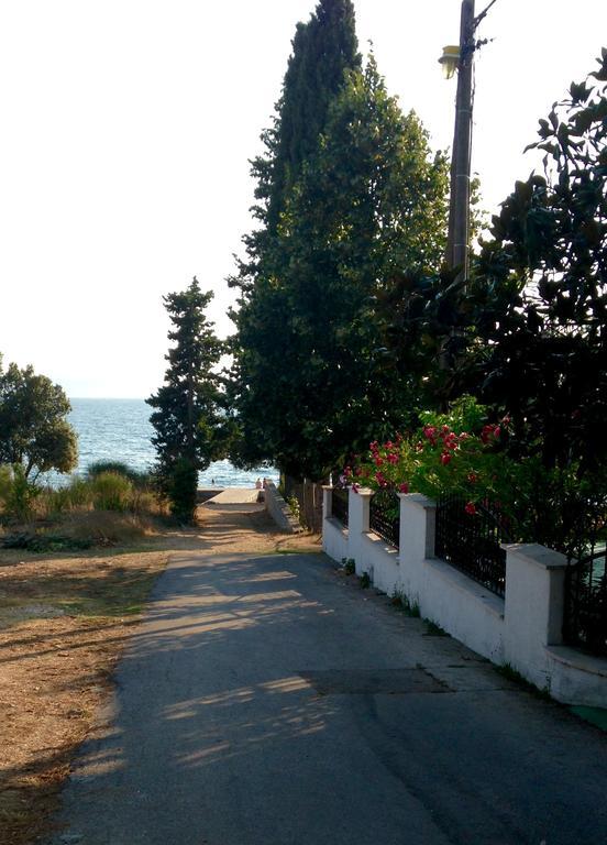 Sea View Kozino Apartment Exterior photo